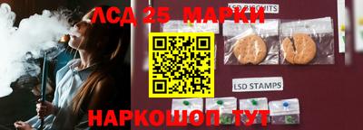 Альфа ПВП Кандалакша