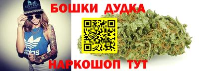 Альфа ПВП Кандалакша