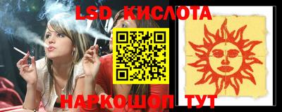 Альфа ПВП Кандалакша