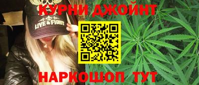 Альфа ПВП Кандалакша