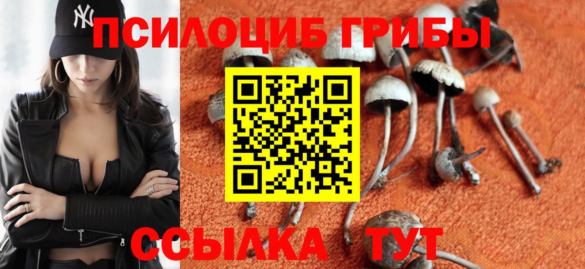 Псилоцибиновые грибы прущие грибы Буйнакск